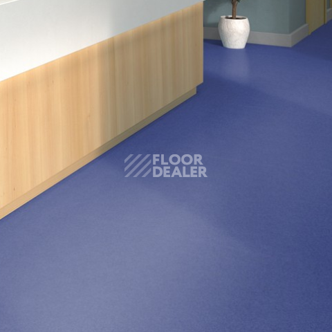 Tarkett iq Melodia 2638 фото 2 | FLOORDEALER